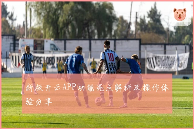 新版开云APP功能亮点解析及操作体验分享